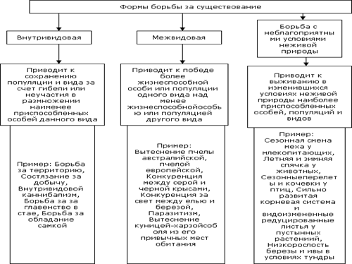 biomedical