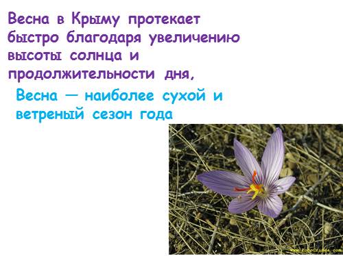 Презентация На Тему Природа Крыма По Географии