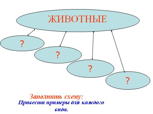 Презентация "Местообитание и экологические ниши" (7 класс) по биологии - скачать